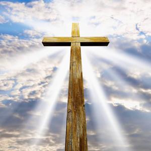 Seek His Face Podcast