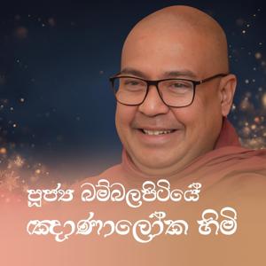 බම්බලපිටියේ ඤාණාලෝක ස්වාමීන් වහන්සේ (Ven. Bambalapitiye Gnanaloka Thero)