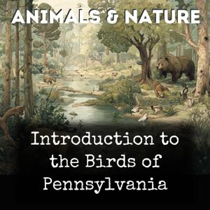 Introduction to the Birds of Pennsylvania