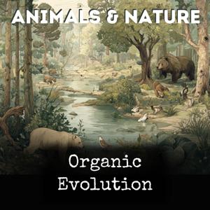Organic Evolution