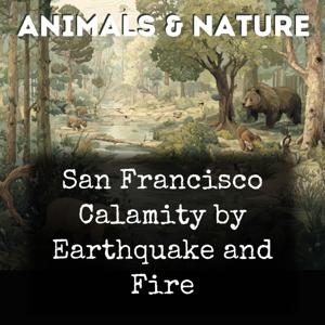 San Francisco Calamity by Earthquake and Fire