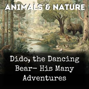Dido, the Dancing Bear- His Many Adventures