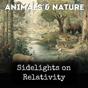 Sidelights on Relativity