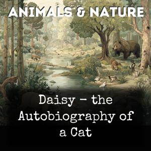 Daisy - the Autobiography of a Cat