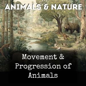 Movement & Progression of Animals