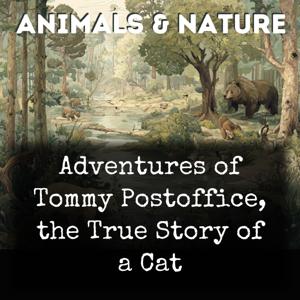 Adventures of Tommy Postoffice, the True Story of a Cat