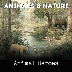 Animal Heroes