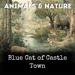 Blue Cat of Castle Town
