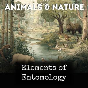 Elements of Entomology