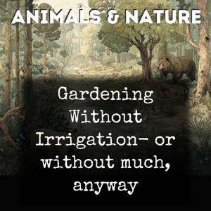 Gardening Without Irrigation- or without much, anyway