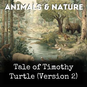 Tale of Timothy Turtle (Version 2)