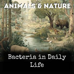 Bacteria in Daily Life