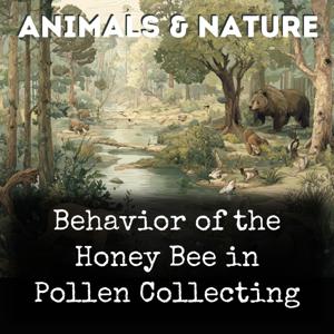 Behavior of the Honey Bee in Pollen Collecting