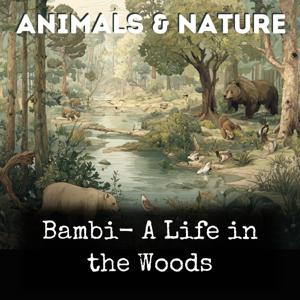 Bambi- A Life in the Woods