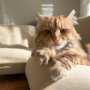 Green's Reading Journey