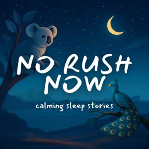 No Rush Now - calming sleep stories