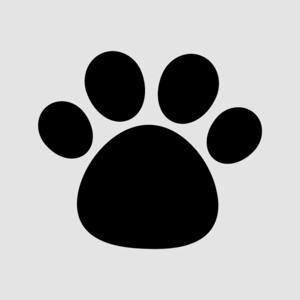 ゆう先生の発達講座