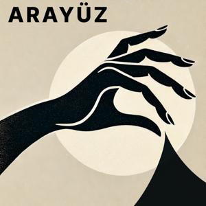 Arayüz