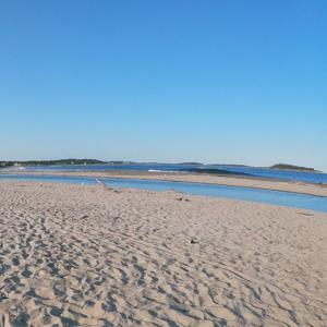 The life of Nick pod