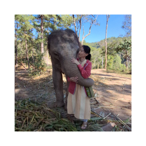 泰國 × 台灣｜生活記事 Thailand × Taiwan | Life Notes