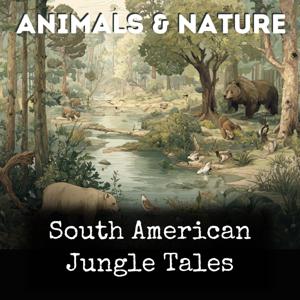 South American Jungle Tales