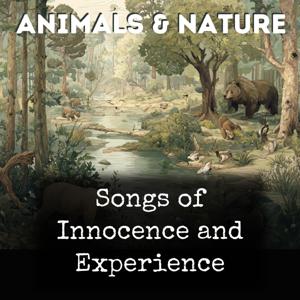 Songs of Innocence and Experience