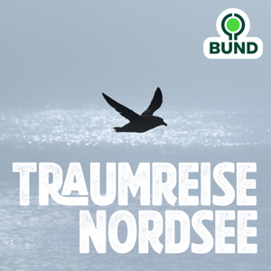 Eingetaucht in die Vielfalt der Nordsee
