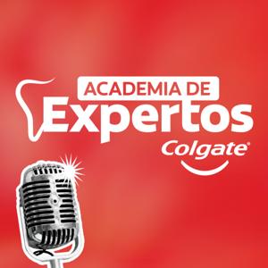 Academia de Expertos