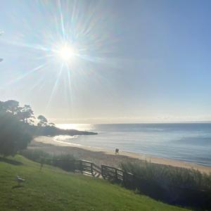 Guides by Rachit Lohani