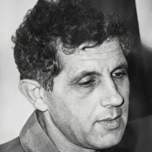 אביטל תבורי