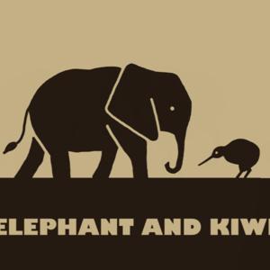 Elephant and Kiwi - from functioning to feeling - Nervous System, Awareness, Emotional Patterns