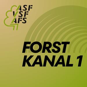 Forstkanal 1