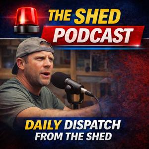 Shed Daily News