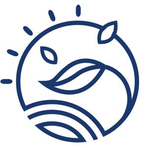 Algues au quotidien - Eric Viard et Aurélie Mazerm Viard