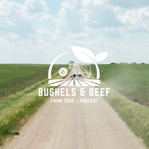 The Bushels and Beef Podcast