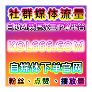 流量提升一站式方案，深耕小红书与国际抖音，助力内容全维度传播