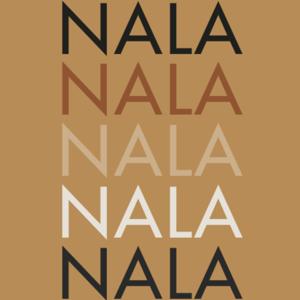 Not A 'Licensed' Architect