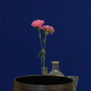 Ouvrir son cœur - Les pratiques sur l'enfant intérieur - 2026