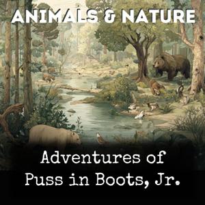 Adventures of Puss in Boots, Jr.
