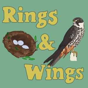 Rings & Wings