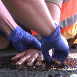 Unignorierbar. Die Stimme des Widerstands!