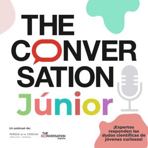 The Conversation Júnior