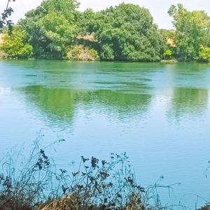 Women At The Well: REJOICE