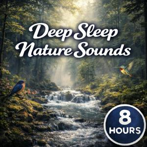 Deep Sleep Nature Sounds