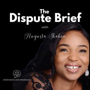 The Dispute Brief