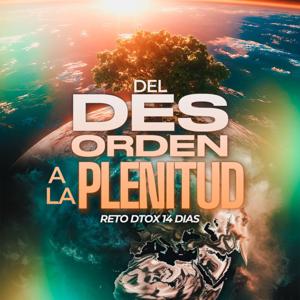 Del Desorden a la Plenitud