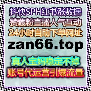垂类资讯平台运营高效破局 流量提升打造专属内容传播与权重增长