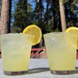 What the Kate and Kat