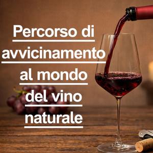 Percorso Avvicinamento al Vino Naturale