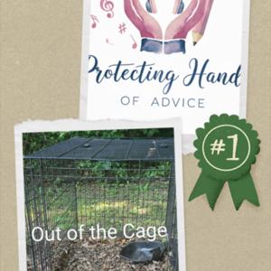 Out of the Cage / Protecting Hands Of Advice